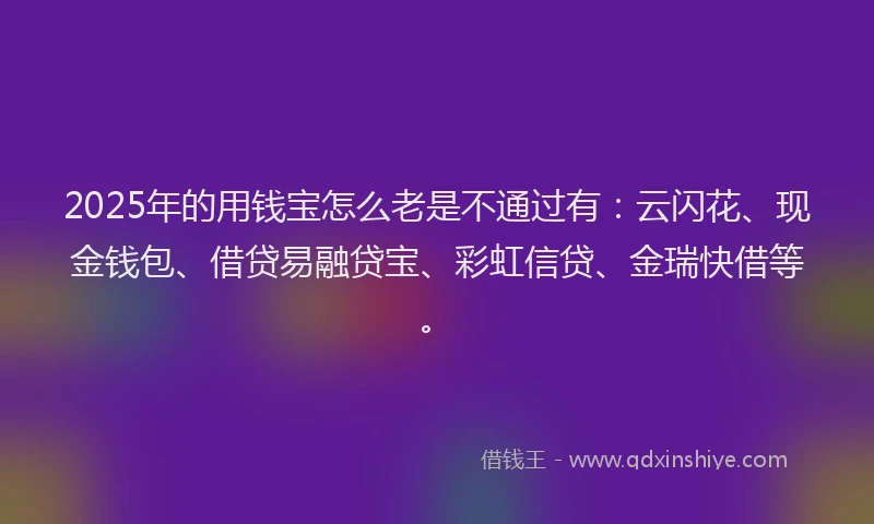 2025年的用钱宝怎么老是不通过有：云闪花、现金钱包、借贷易融贷宝、彩虹信贷、金瑞快借等。