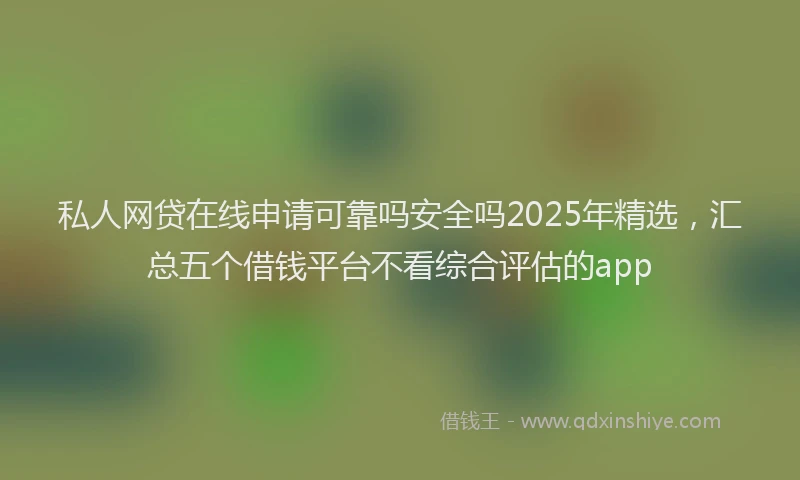 私人网贷在线申请可靠吗安全吗2025年精选，汇总五个借钱平台不看综合评估的app