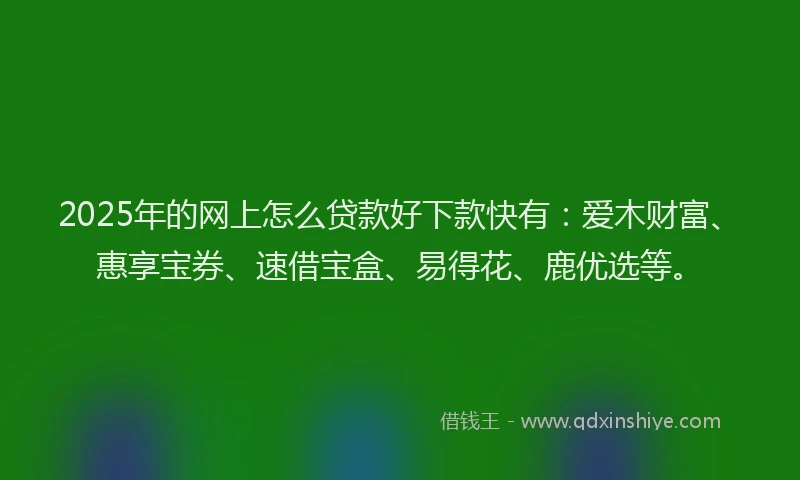 2025年的网上怎么贷款好下款快有：爱木财富、惠享宝券、速借宝盒、易得花、鹿优选等。