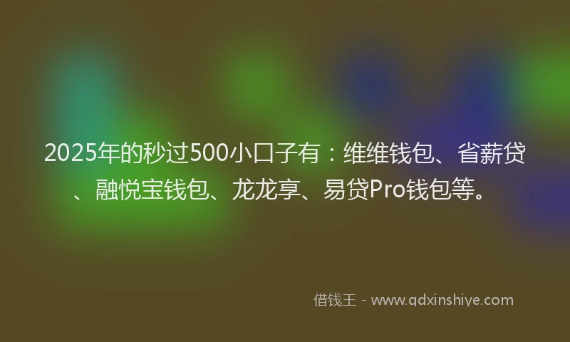 2025年的秒过500小口子有：维维钱包、省薪贷、融悦宝钱包、龙龙享、易贷Pro钱包等。