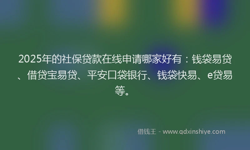 2025年的社保贷款在线申请哪家好有：钱袋易贷、借贷宝易贷、平安口袋银行、钱袋快易、e贷易等。