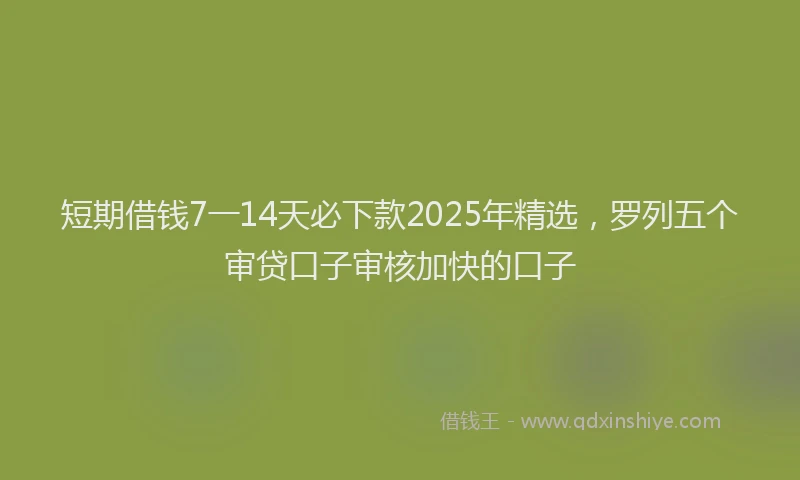 短期借钱7一14天必下款2025年精选，罗列五个审贷口子审核加快的口子