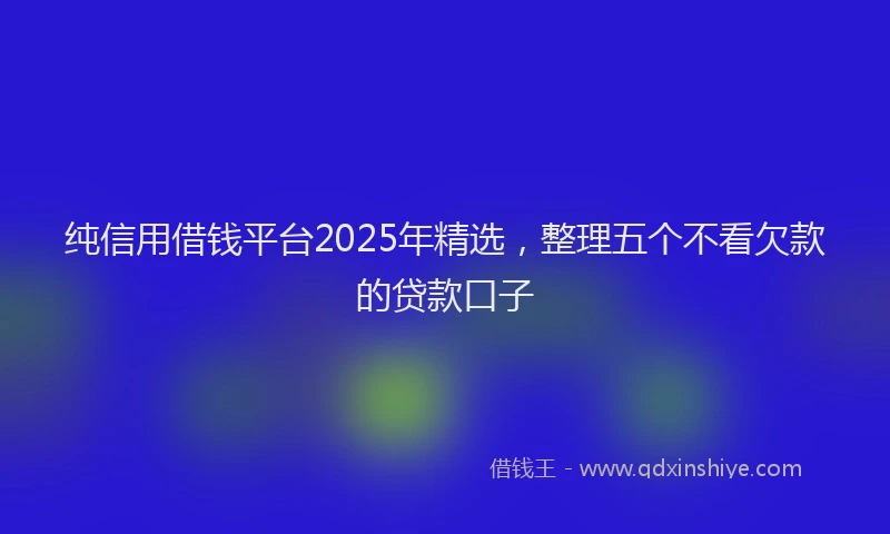 纯信用借钱平台2025年精选，整理五个不看欠款的贷款口子