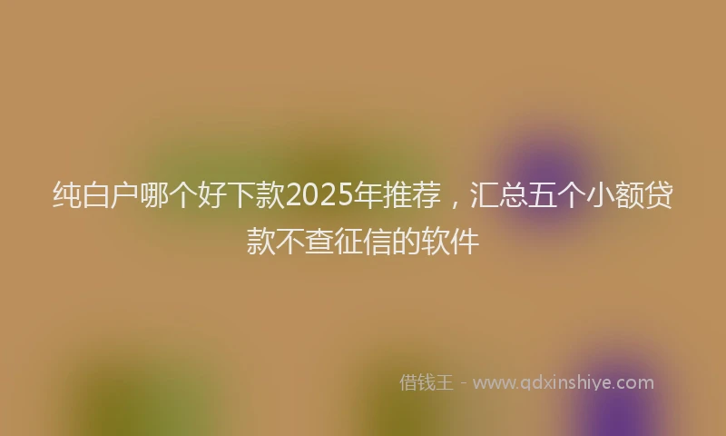 纯白户哪个好下款2025年推荐，汇总五个小额贷款不查征信的软件