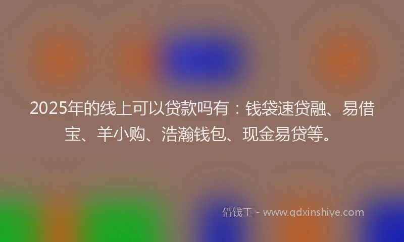 2025年的线上可以贷款吗有：钱袋速贷融、易借宝、羊小购、浩瀚钱包、现金易贷等。