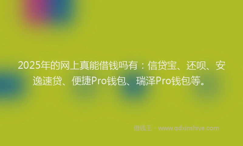 2025年的网上真能借钱吗有：信贷宝、还呗、安逸速贷、便捷Pro钱包、瑞泽Pro钱包等。