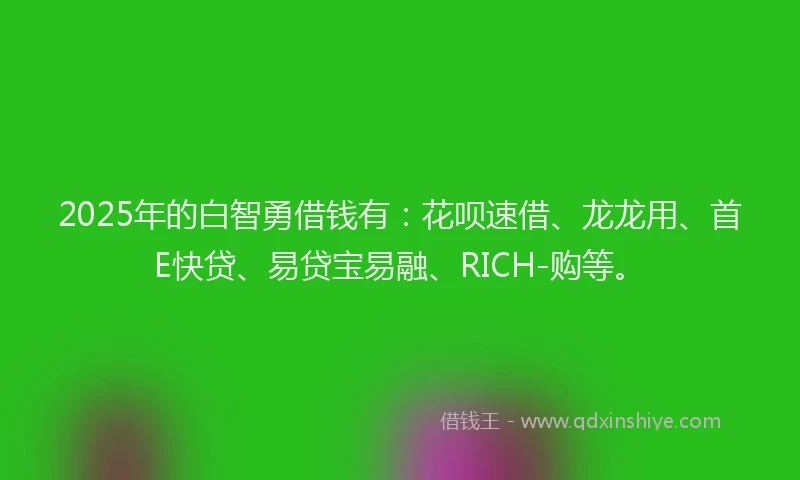 2025年的白智勇借钱有：花呗速借、龙龙用、首E快贷、易贷宝易融、RICH-购等。