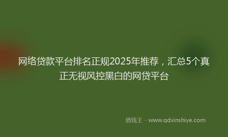 网络贷款平台排名正规2025年推荐，汇总5个真正无视风控黑白的网贷平台