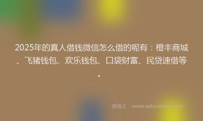 2025年的真人借钱微信怎么借的呢有：橙丰商城、飞猪钱包、欢乐钱包、口袋财富、民贷速借等。