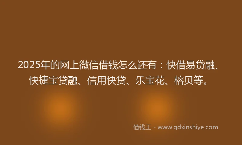 2025年的网上微信借钱怎么还有：快借易贷融、快捷宝贷融、信用快贷、乐宝花、榕贝等。
