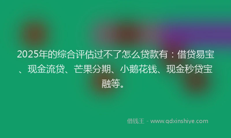 2025年的综合评估过不了怎么贷款有：借贷易宝、现金流贷、芒果分期、小鹅花钱、现金秒贷宝融等。