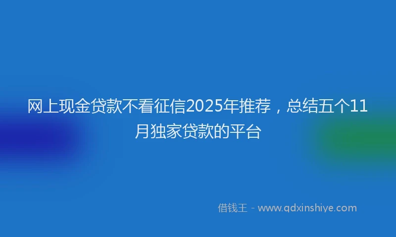 网上现金贷款不看征信2025年推荐，总结五个11月独家贷款的平台