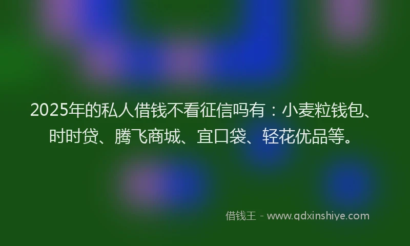 2025年的私人借钱不看征信吗有：小麦粒钱包、时时贷、腾飞商城、宜口袋、轻花优品等。