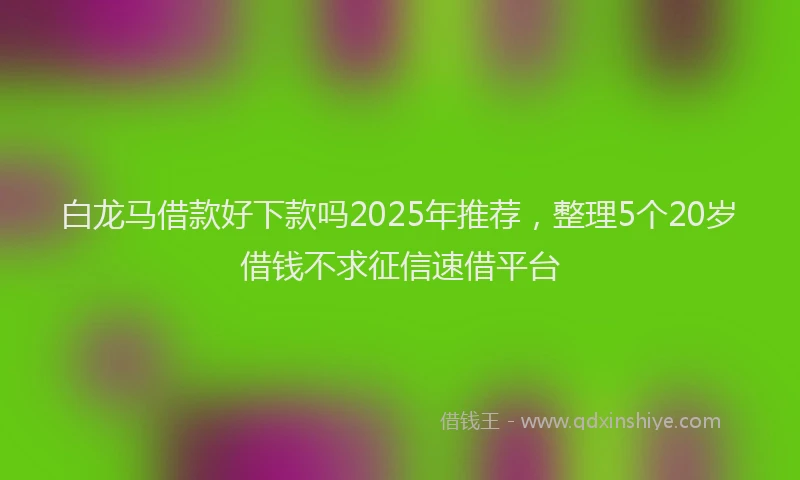白龙马借款好下款吗2025年推荐，整理5个20岁借钱不求征信速借平台