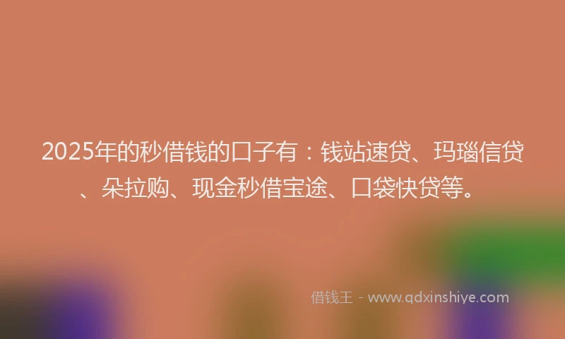2025年的秒借钱的口子有：钱站速贷、玛瑙信贷、朵拉购、现金秒借宝途、口袋快贷等。