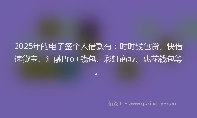 2025年的电子签个人借款有：时时钱包贷、快借速贷宝、汇融Pro+钱包、彩虹商城、惠花钱包等。