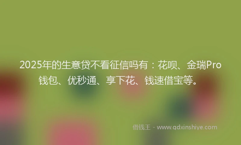 2025年的生意贷不看征信吗有：花呗、金瑞Pro钱包、优秒通、享下花、钱速借宝等。