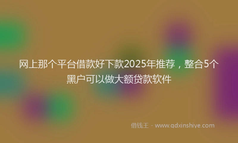 网上那个平台借款好下款2025年推荐，整合5个黑户可以做大额贷款软件