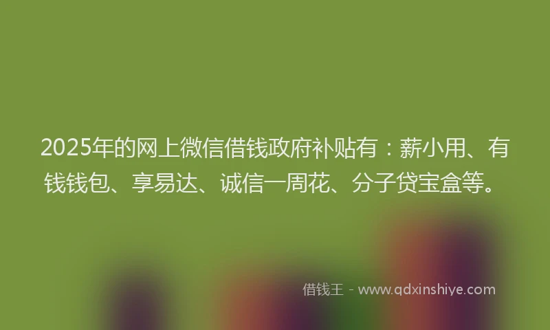 2025年的网上微信借钱政府补贴有：薪小用、有钱钱包、享易达、诚信一周花、分子贷宝盒等。