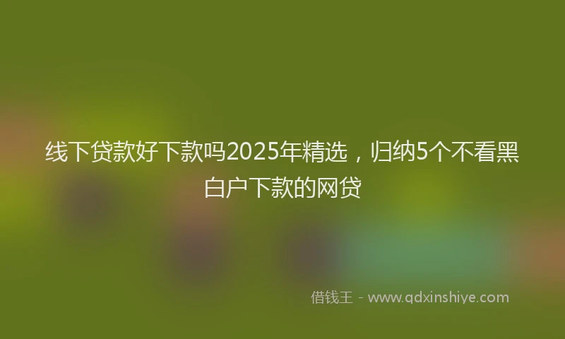 线下贷款好下款吗2025年精选，归纳5个不看黑白户下款的网贷