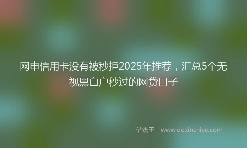 网申信用卡没有被秒拒2025年推荐，汇总5个无视黑白户秒过的网贷口子