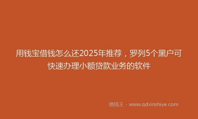 用钱宝借钱怎么还2025年推荐，罗列5个黑户可快速办理小额贷款业务的软件