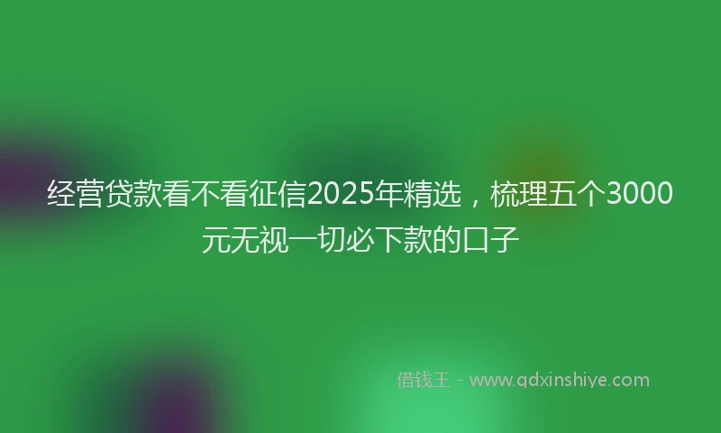经营贷款看不看征信2025年精选，梳理五个3000元无视一切必下款的口子