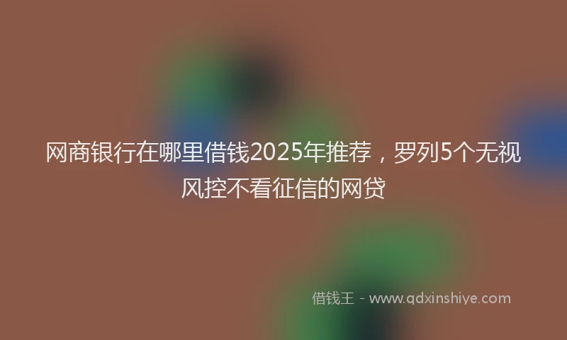 网商银行在哪里借钱2025年推荐，罗列5个无视风控不看征信的网贷