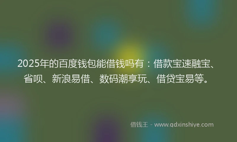 2025年的百度钱包能借钱吗有：借款宝速融宝、省呗、新浪易借、数码潮享玩、借贷宝易等。