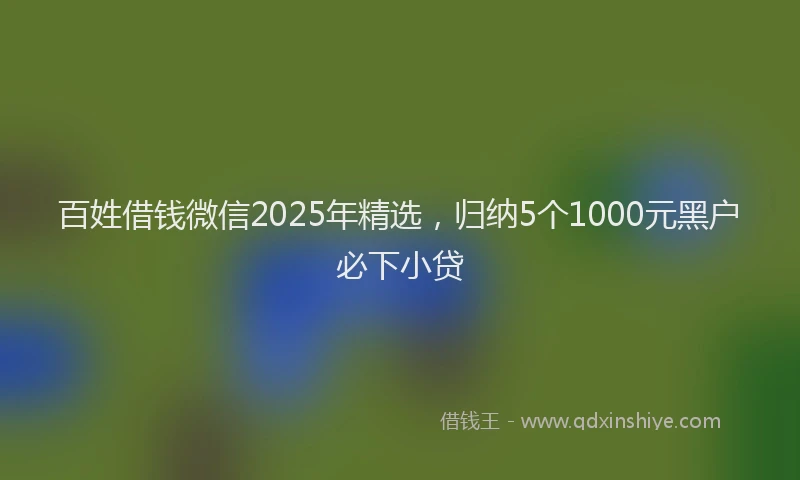 百姓借钱微信2025年精选，归纳5个1000元黑户必下小贷