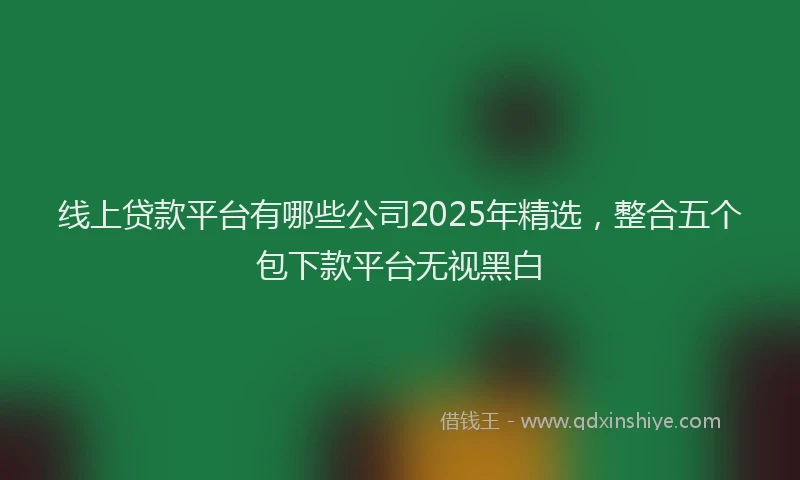 线上贷款平台有哪些公司2025年精选，整合五个包下款平台无视黑白