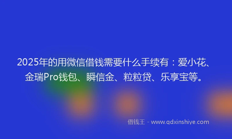 2025年的用微信借钱需要什么手续有：爱小花、金瑞Pro钱包、瞬信金、粒粒贷、乐享宝等。