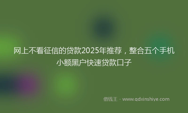 网上不看征信的贷款2025年推荐，整合五个手机小额黑户快速贷款口子