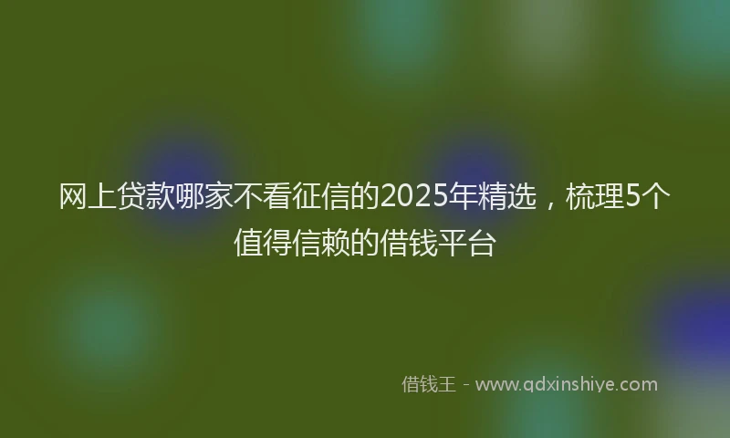 网上贷款哪家不看征信的2025年精选，梳理5个值得信赖的借钱平台