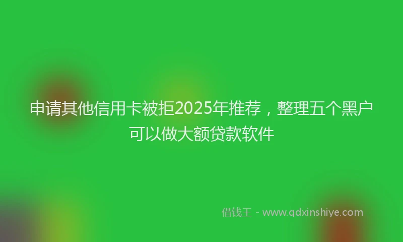 申请其他信用卡被拒2025年推荐，整理五个黑户可以做大额贷款软件
