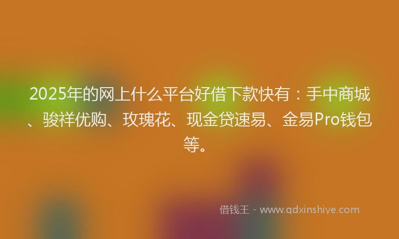 2025年的网上什么平台好借下款快有：手中商城、骏祥优购、玫瑰花、现金贷速易、金易Pro钱包等。