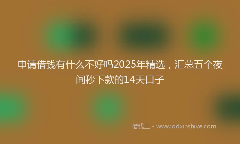 申请借钱有什么不好吗2025年精选，汇总五个夜间秒下款的14天口子
