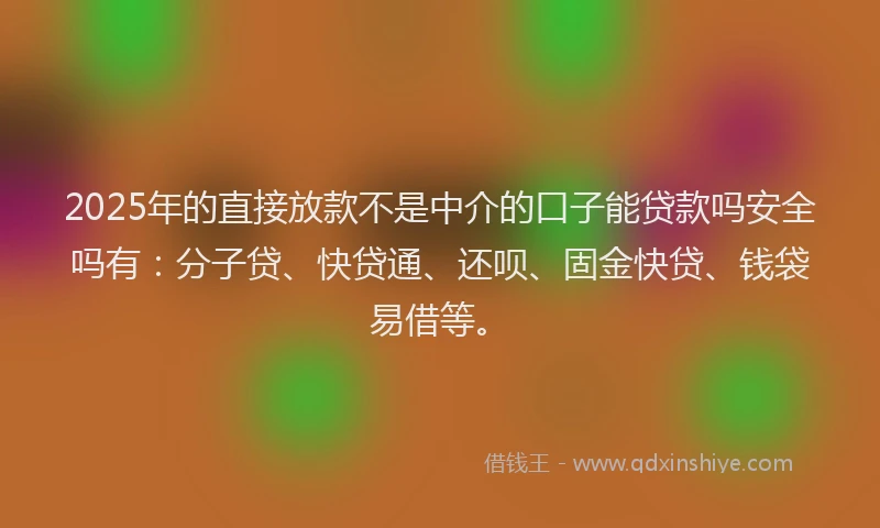 2025年的直接放款不是中介的口子能贷款吗安全吗有：分子贷、快贷通、还呗、固金快贷、钱袋易借等。