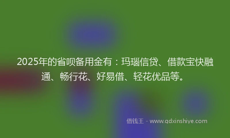 2025年的省呗备用金有：玛瑙信贷、借款宝快融通、畅行花、好易借、轻花优品等。
