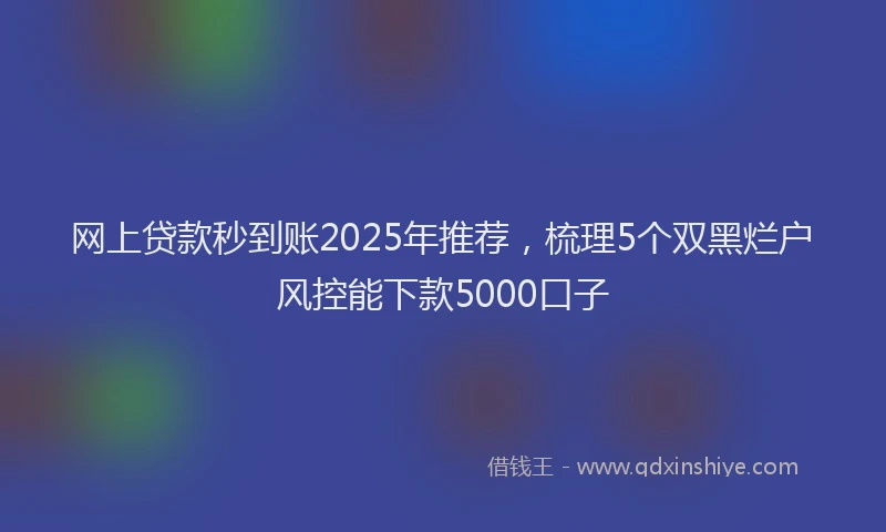 网上贷款秒到账2025年推荐，梳理5个双黑烂户风控能下款5000口子