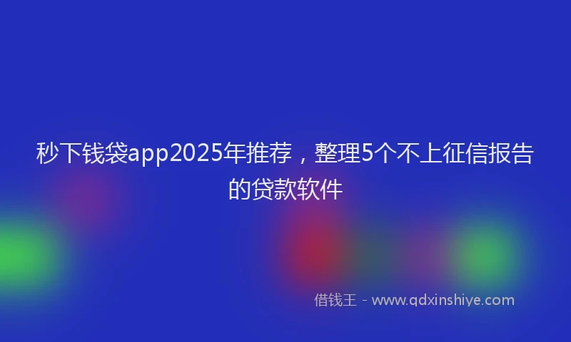 秒下钱袋app2025年推荐，整理5个不上征信报告的贷款软件