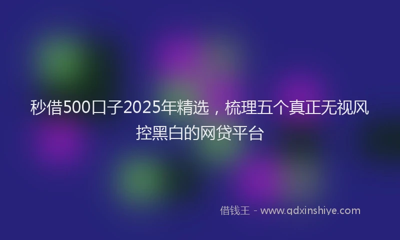 秒借500口子2025年精选，梳理五个真正无视风控黑白的网贷平台
