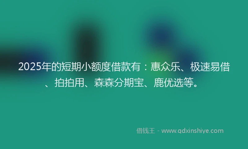 2025年的短期小额度借款有：惠众乐、极速易借、拍拍用、森森分期宝、鹿优选等。
