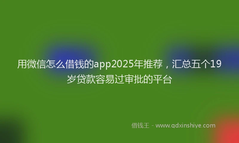 用微信怎么借钱的app2025年推荐，汇总五个19岁贷款容易过审批的平台