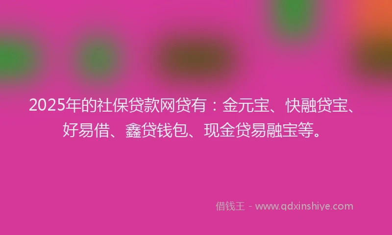 2025年的社保贷款网贷有：金元宝、快融贷宝、好易借、鑫贷钱包、现金贷易融宝等。