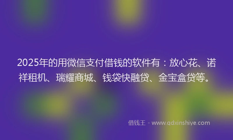 2025年的用微信支付借钱的软件有：放心花、诺祥租机、瑞耀商城、钱袋快融贷、金宝盒贷等。