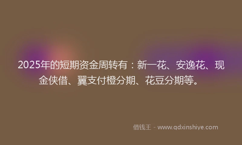 2025年的短期资金周转有：新一花、安逸花、现金侠借、翼支付橙分期、花豆分期等。