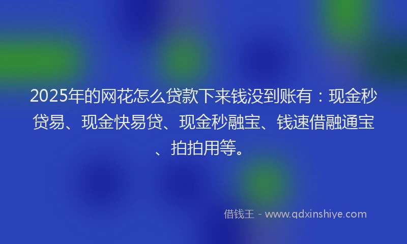 2025年的网花怎么贷款下来钱没到账有：现金秒贷易、现金快易贷、现金秒融宝、钱速借融通宝、拍拍用等。