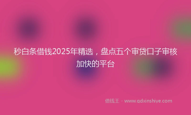 秒白条借钱2025年精选，盘点五个审贷口子审核加快的平台