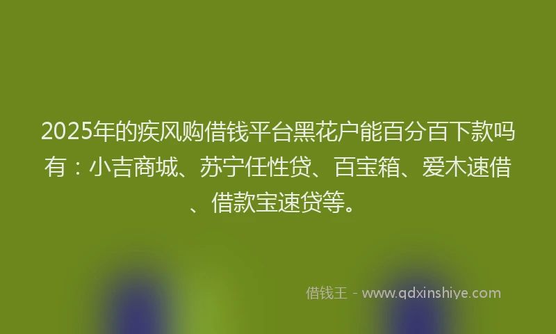 2025年的疾风购借钱平台黑花户能百分百下款吗有：小吉商城、苏宁任性贷、百宝箱、爱木速借、借款宝速贷等。